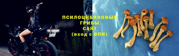 MESCALINE Арсеньев