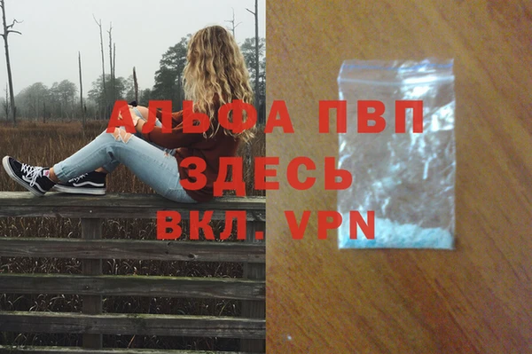 крисы Аркадак