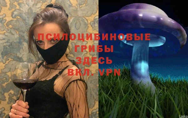 крисы Аркадак