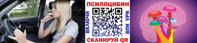 Псилоцибиновые грибы Magic Shrooms Кубинка